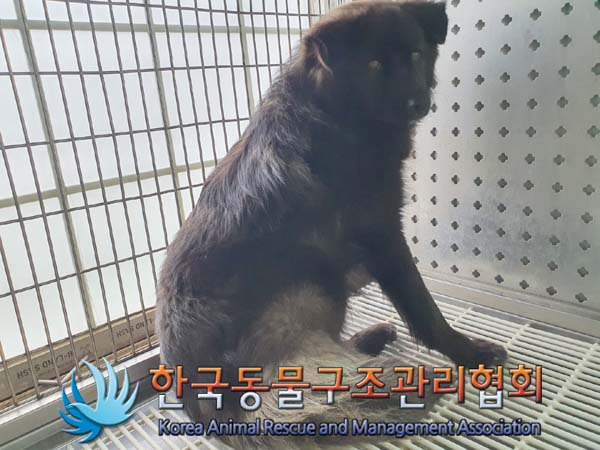 한국동물구조관리협회_441560202300233
